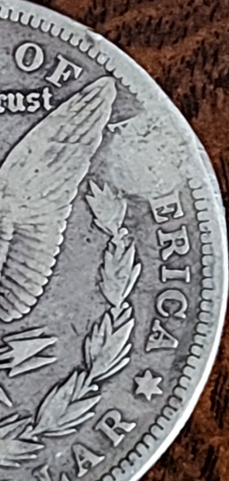 Grading-Request-On-1880-O-Morgan-Dollar