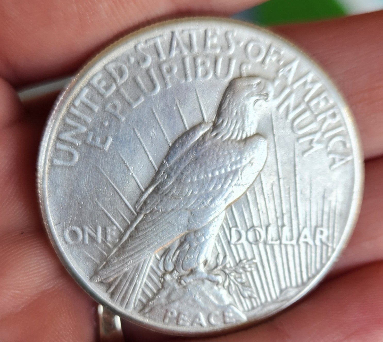 1927-Peace-Dollar-Grading-Help