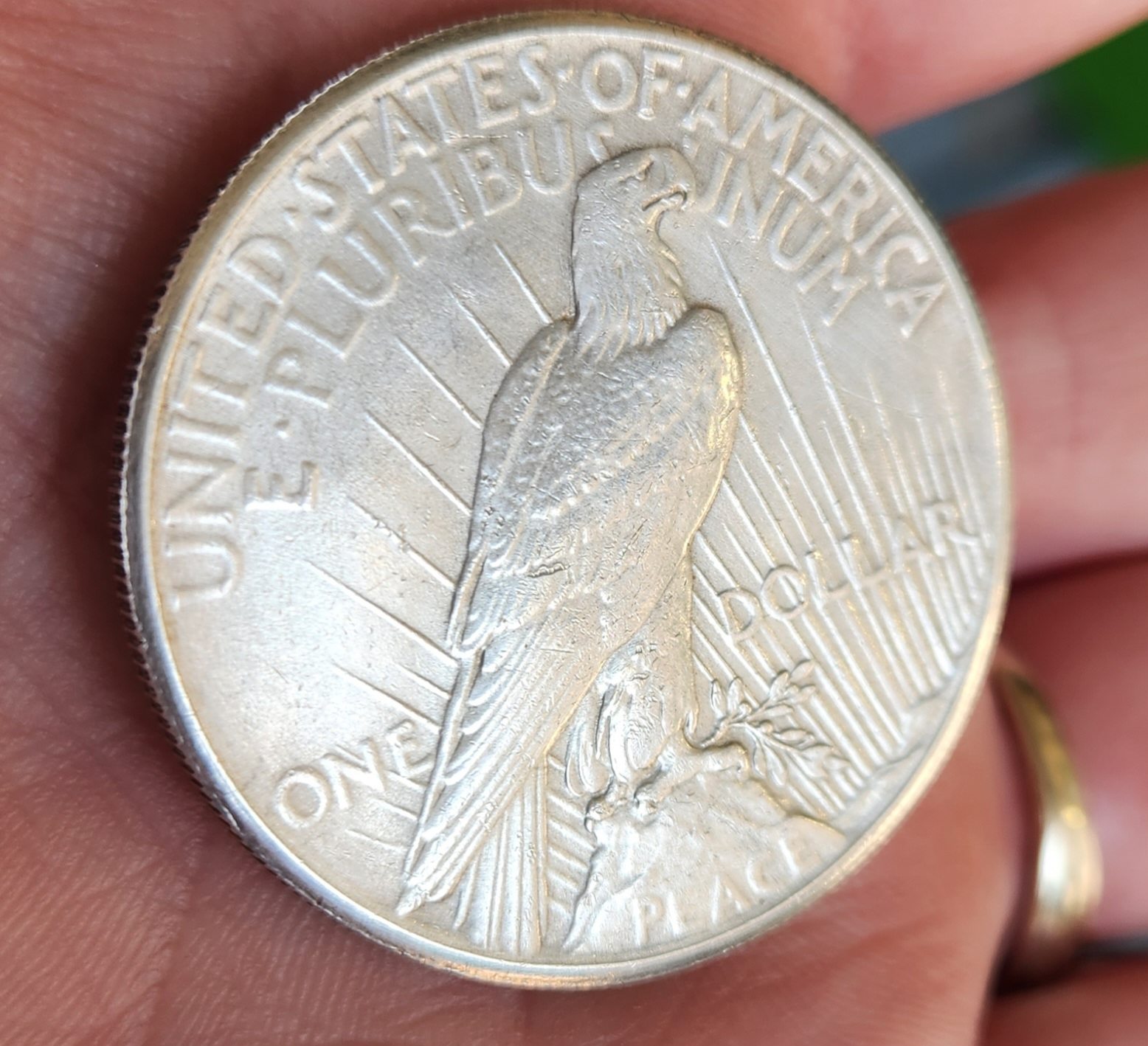 1927-Peace-Dollar-Grading-Help