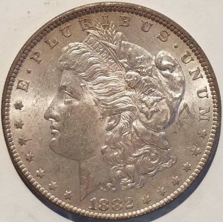 #-33-Of-My-Silver-Dollar-Collection-For--Grading-1882-P-Morgan