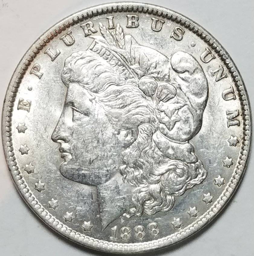 #-38-Of-My-Silver-Dollar-Collection-For--Grading-1888-P-Morgan