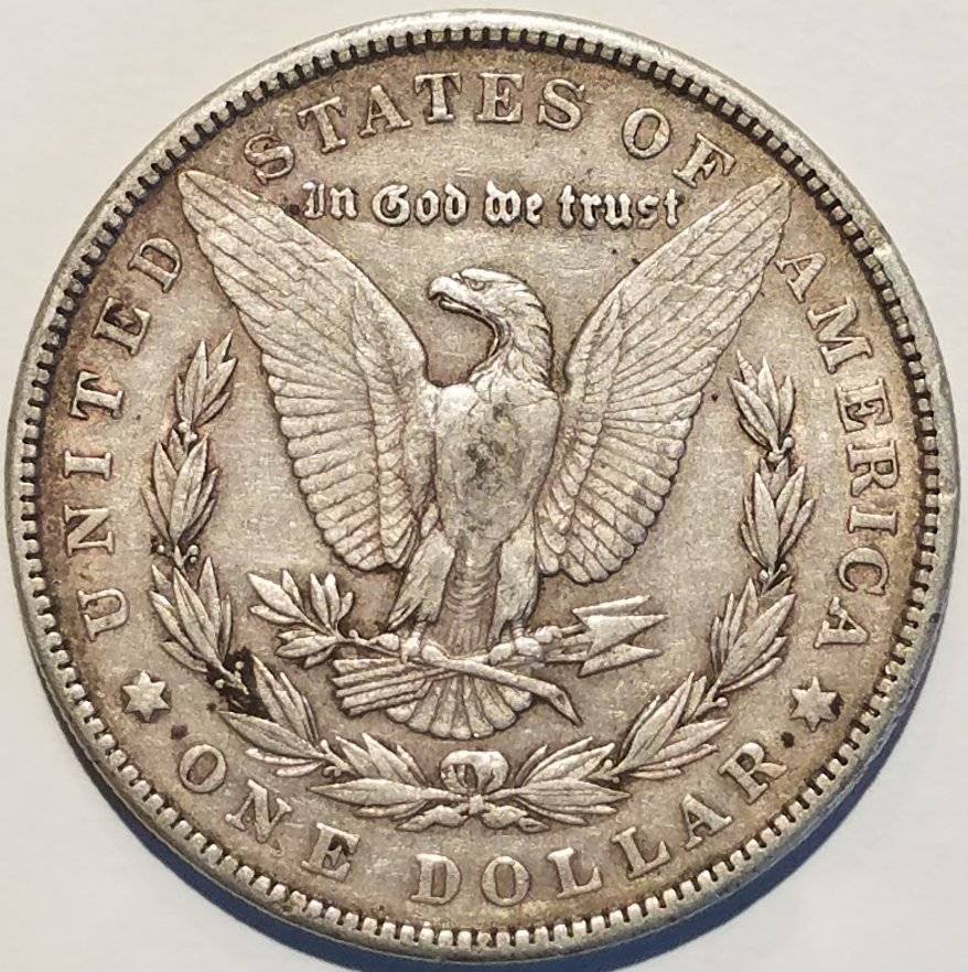 #-42-Of-My-Silver-Dollar-Collection-For--Grading-1904-P-Morgan