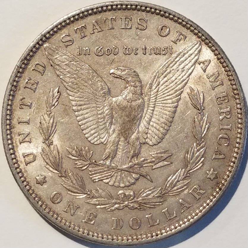 #-45-Of-My-Silver-Dollar-Collection-For--Grading-1898-P-Morgan