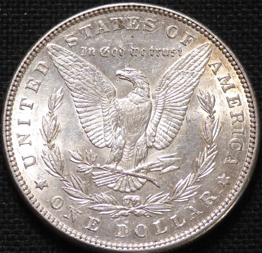 #116--1884-P-Morgan-For-Grading-And-Opinions