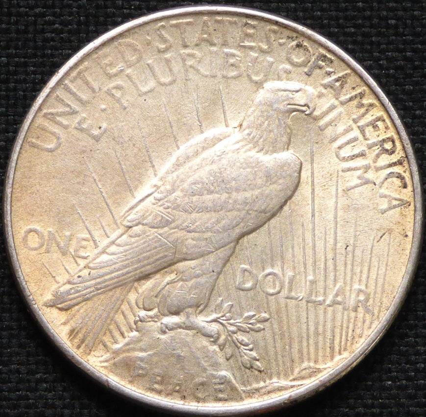 #122---1924-P-Peace-Dollar-For-Grading-And-Opinions