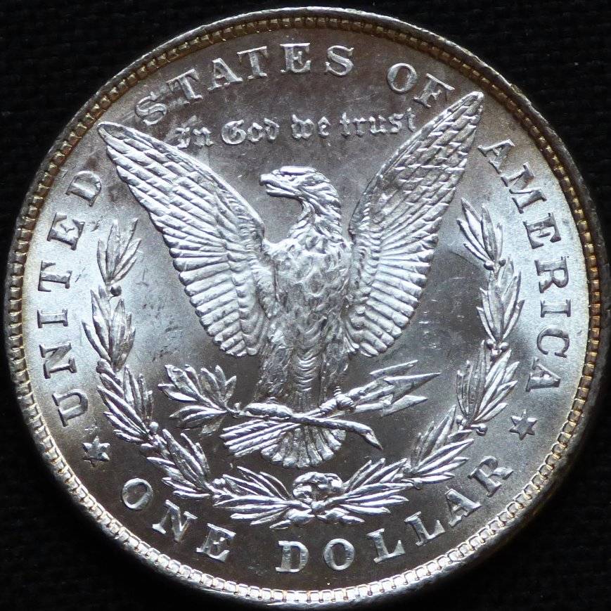 A-Tale-Of-Six-1878-8-Tail-Feather-Morgan-Dollars-Sold-At-Ebay-2-Weeks-Ago.