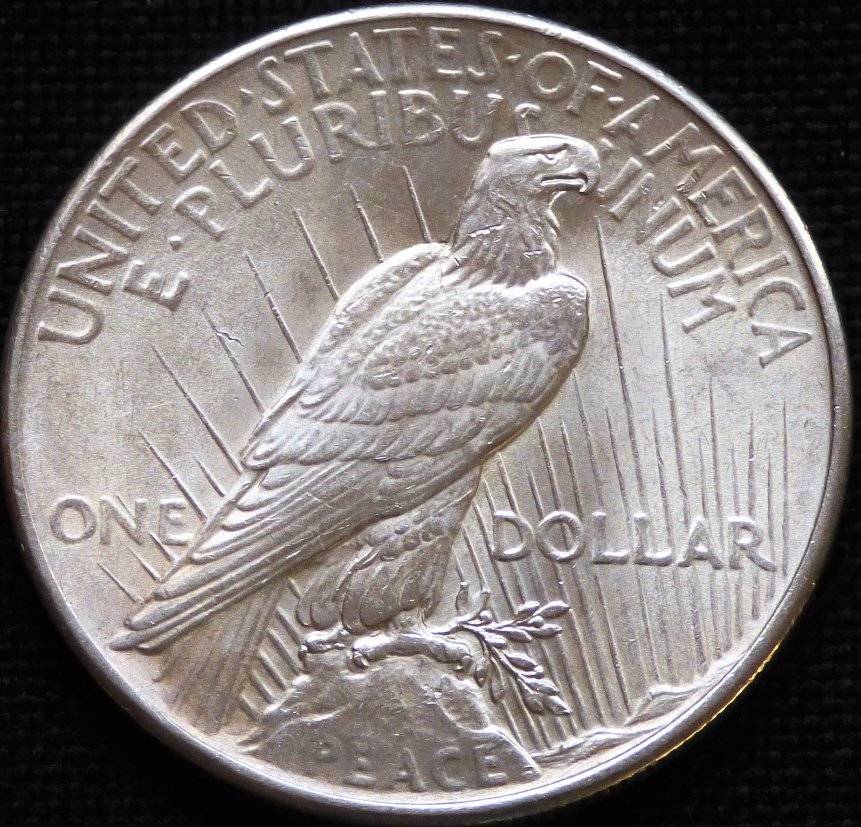 1925-P-Peace-Dollar-Opinions-Please-......-#162