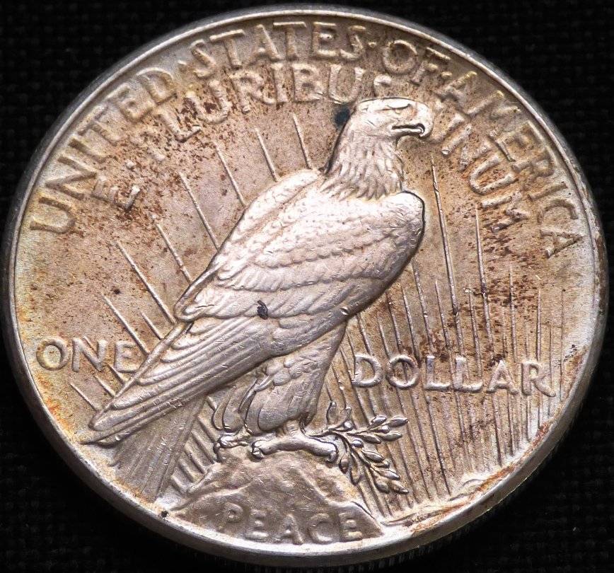 1925-P-Peace-Dollar-Opinions-Please-......-#172