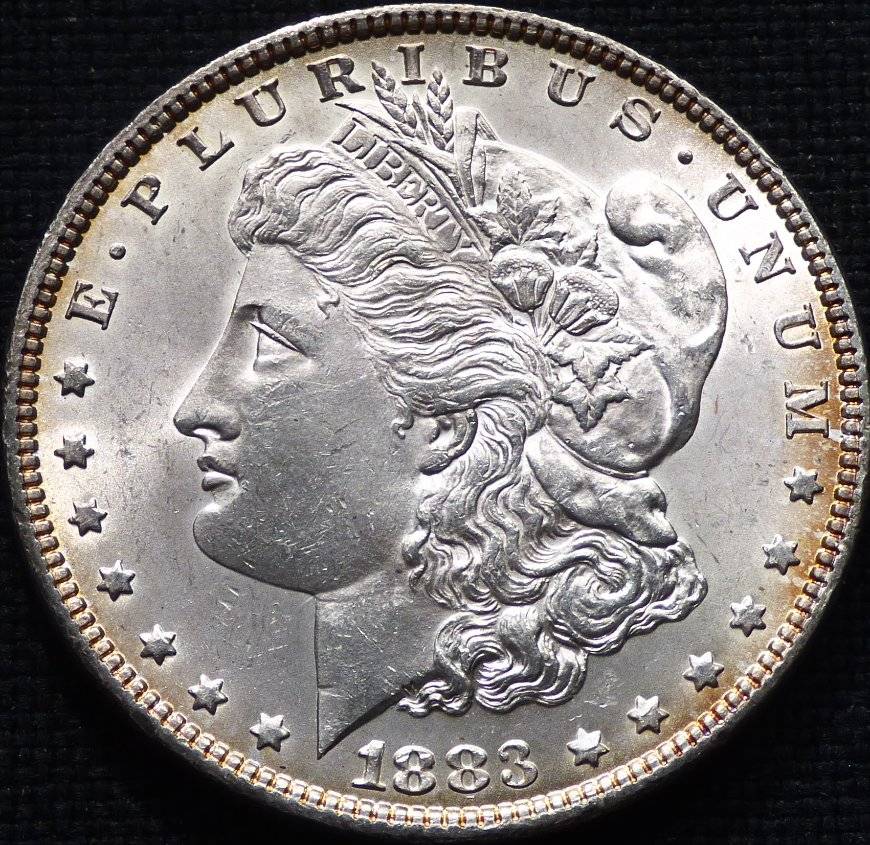 1883-P-Morgan-Dollar-Opinions-Please-......-#204