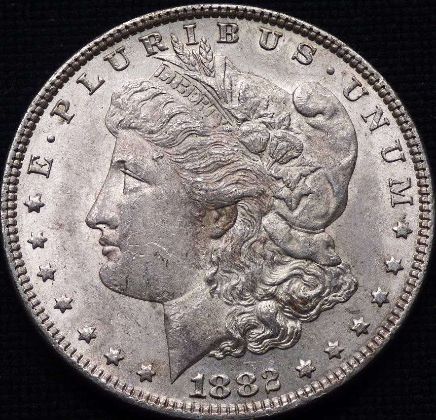 1882-P-Morgan-Dollar-Opinions-Please-......-#207