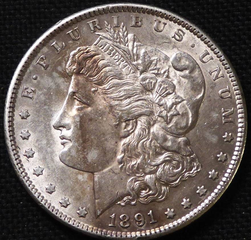 1891-S-Morgan-Dollar-Opinions-Please-......-#217
