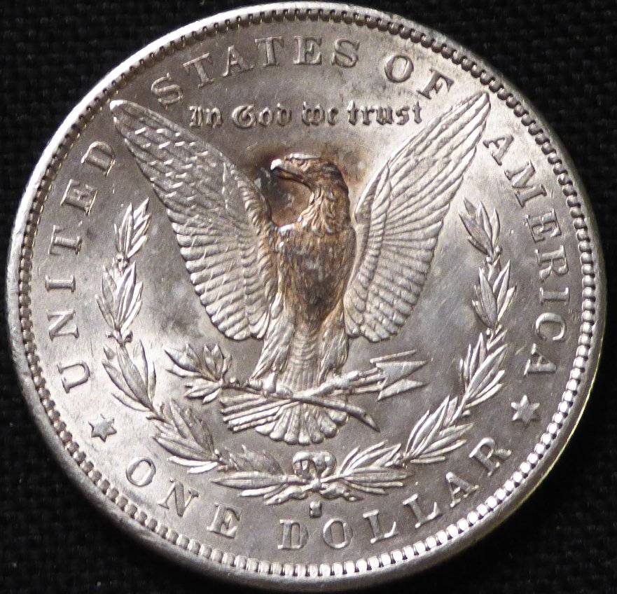 1891-S-Morgan-Dollar-Opinions-Please-......-#217