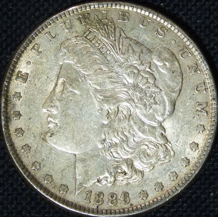 1886-P-Morgan-Dollar-Opinions-Please-......-#228