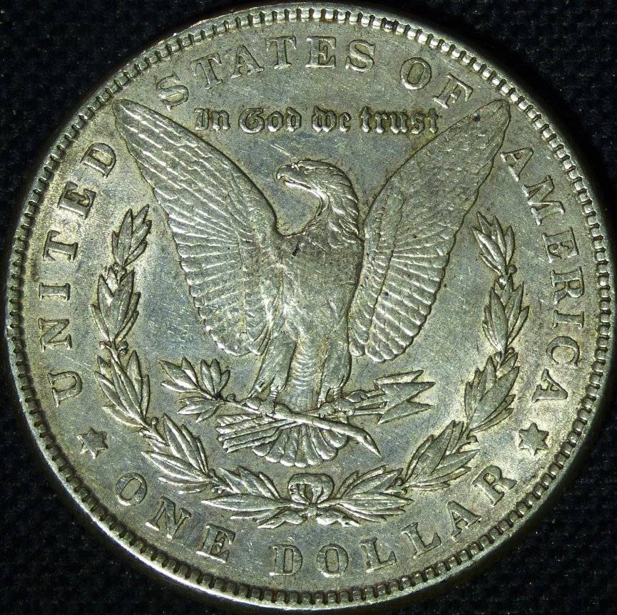 1886-P-Morgan-Dollar-Opinions-Please-......-#228
