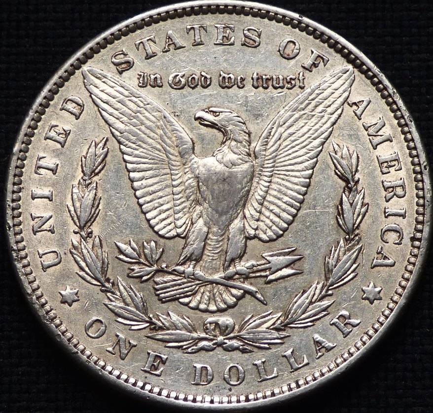 1891-P-Morgan-Dollar-Opinions-Please-......-#235