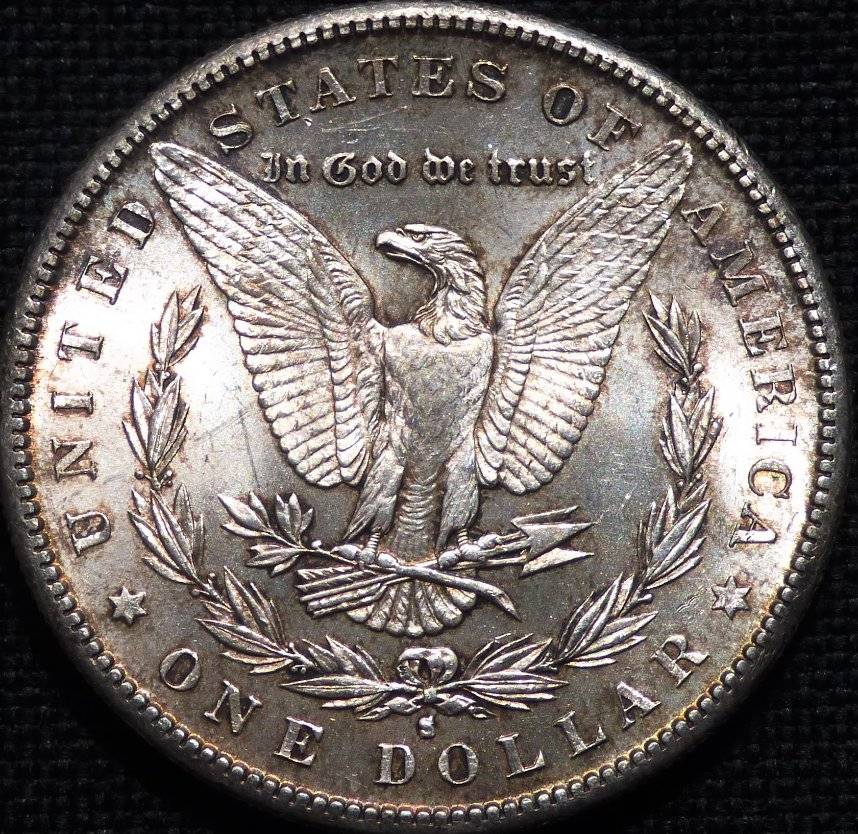 1882-S-Morgan-Dollar-Opinions-Please-......-#239