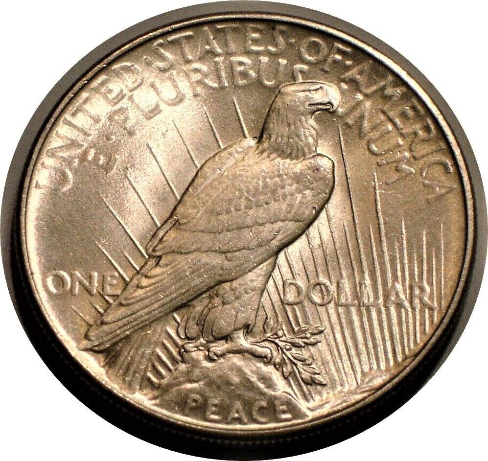 1934-Peace-Dollar---Quick---Opinions-Please,-Auction-Ends-40-Minutes