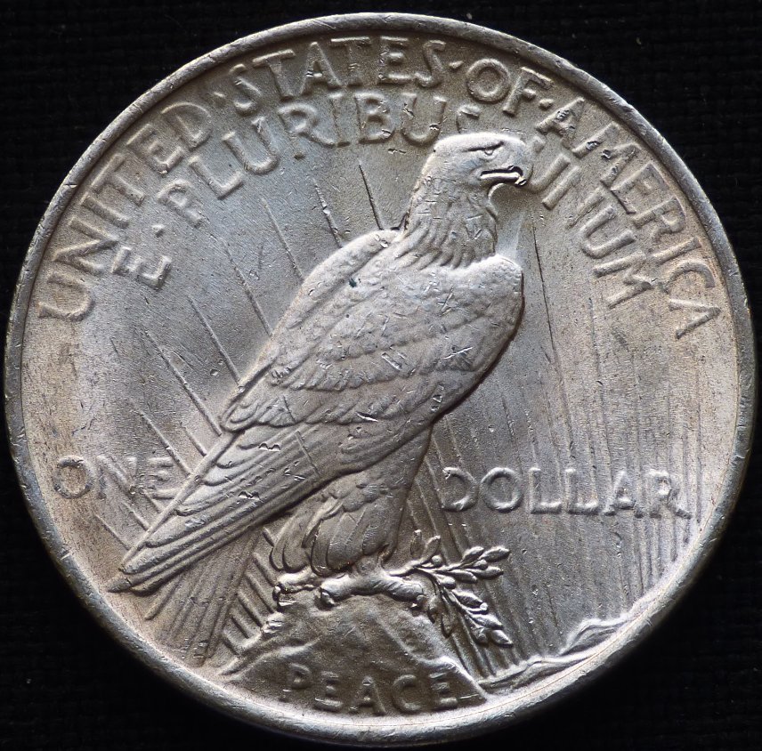 1922-P-Peace-Dollar-Opinions-Please-......-#256