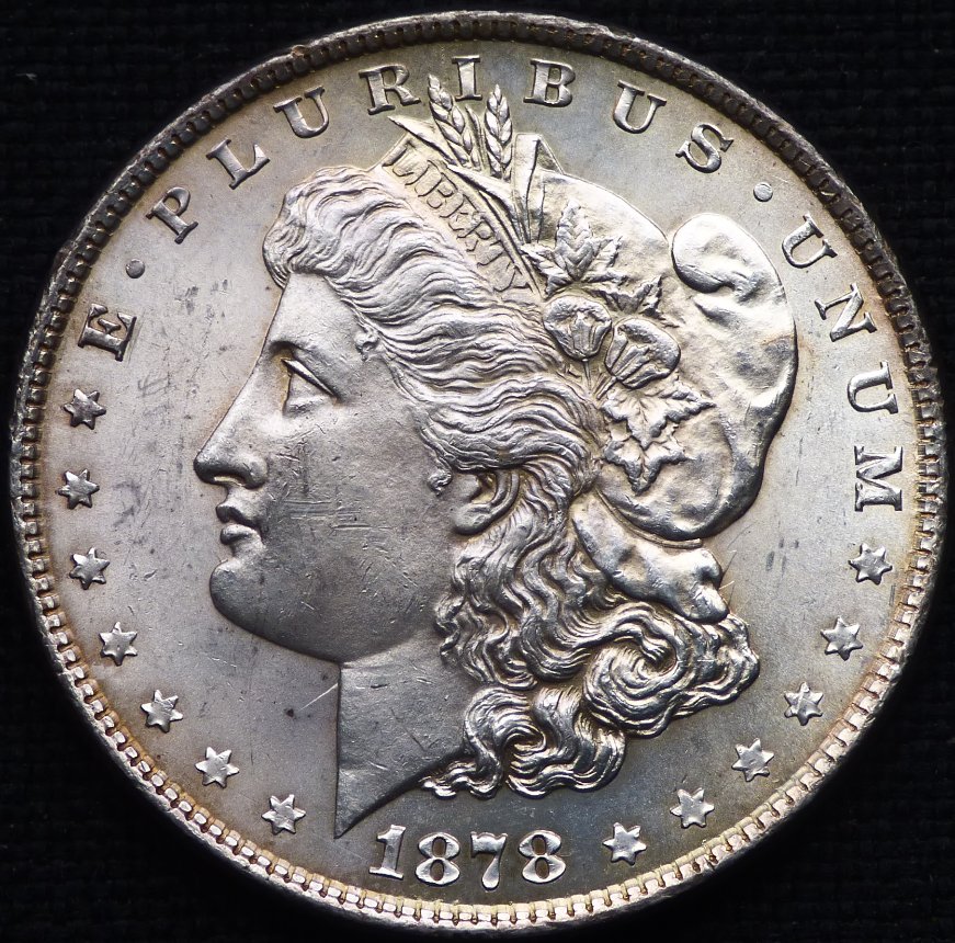 1878-P-8-Tail-Feather-Morgan-Dollar-Opinions-Please-......-#259