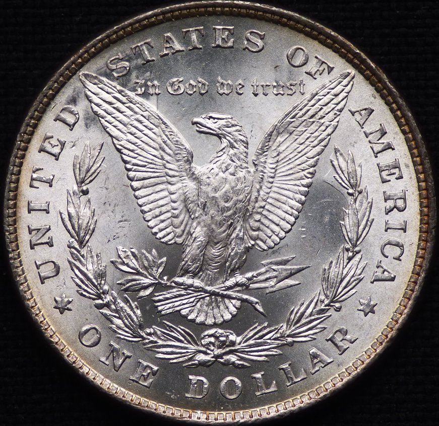 1878-P-8-Tail-Feather-Morgan-Dollar-Opinions-Please-......-#259