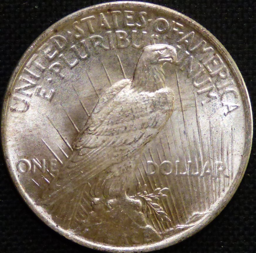 1922-P-Peace-Dollar-New-Photos-.-Opinions-Please-.-#271