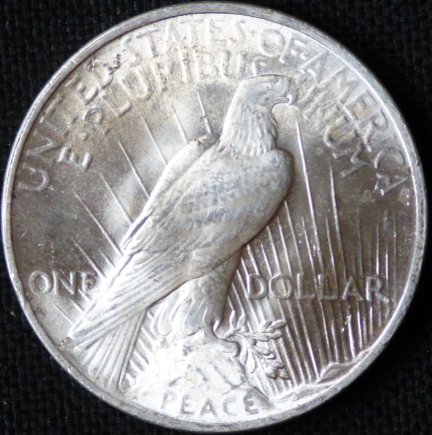 1924-P-Peace-Dollar-.-Opinions-Please-.-#275