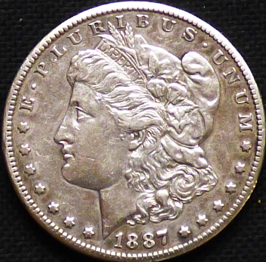 1887-S-Morgan-.-You-Just-Can't-Unpolish-A-Coin-.-#273