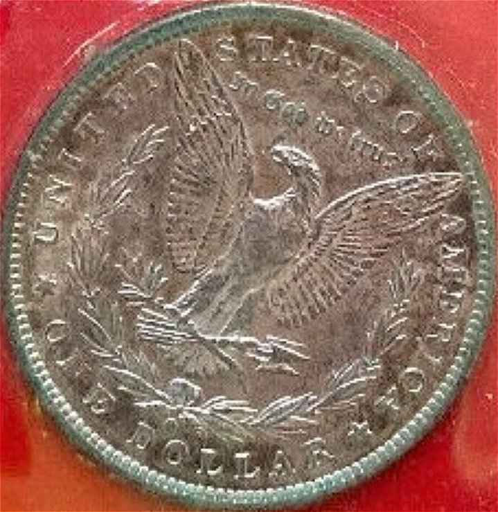 Promotional-American-Savings-Bank-Morgans-Opinions-Please