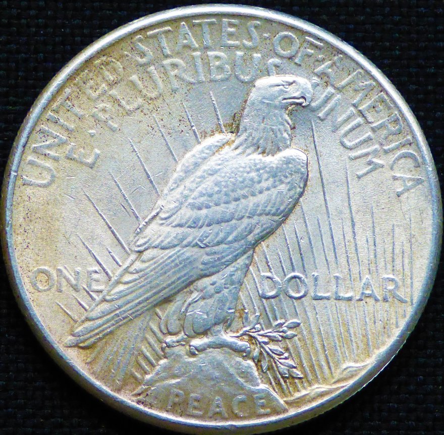 1925-P-Peace-Dollar-.-#283-.-Opinions-Appreciated-*new-Picture*