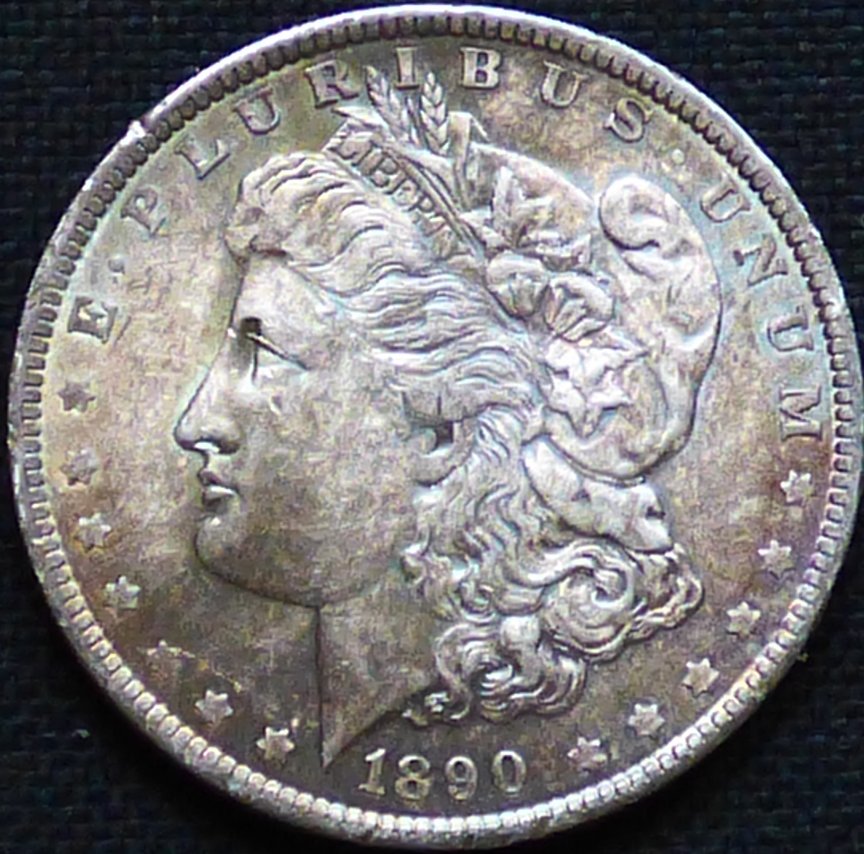 1890-P-Morgan-Dollar-#284-.-Opinions-Please