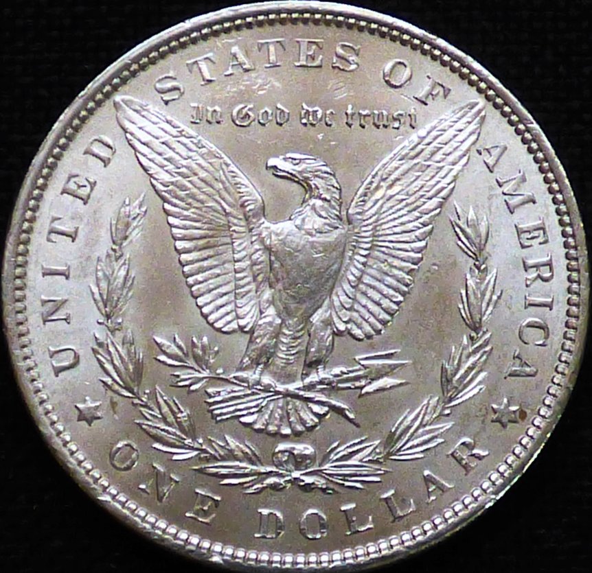 #291-.-Morgan-Dollar-1989-P-.-Grading-And-Opinions-Please