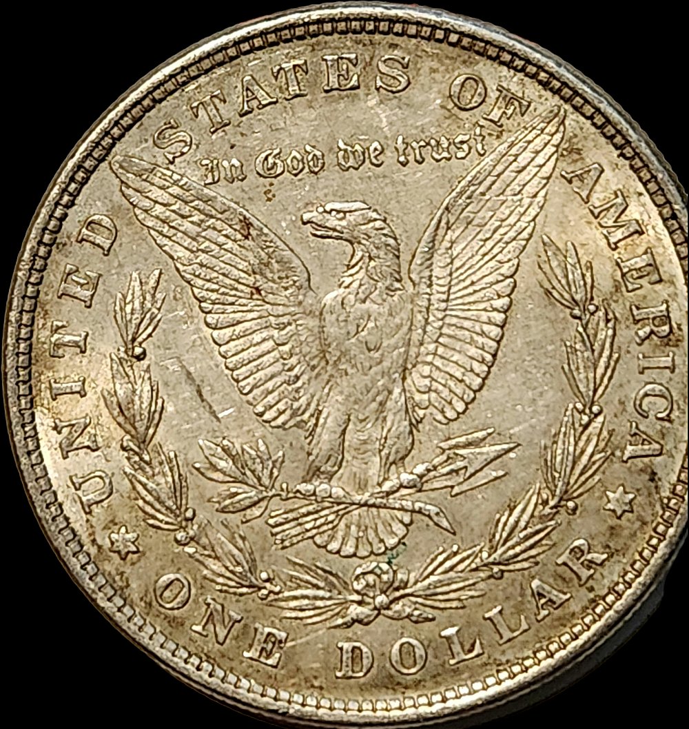 1878-8TF-Morgan-.-I'm-Thinking-45-Or-50,-What-Do-You-Think?