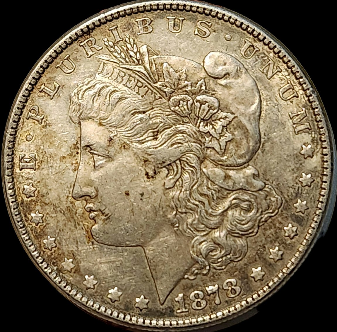 1878-8TF-Morgan-.-I'm-Thinking-45-Or-50,-What-Do-You-Think?