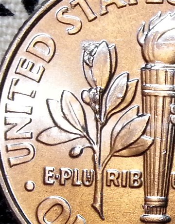 Does-Gritty-Texture-And/Or-Die-Chips,-Cracks-Affect-PCGS-Grade?