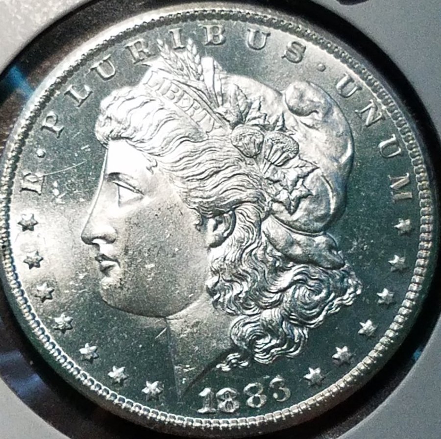 1883-CC-Morgan-Dollar,-Submitted-To-PCGS