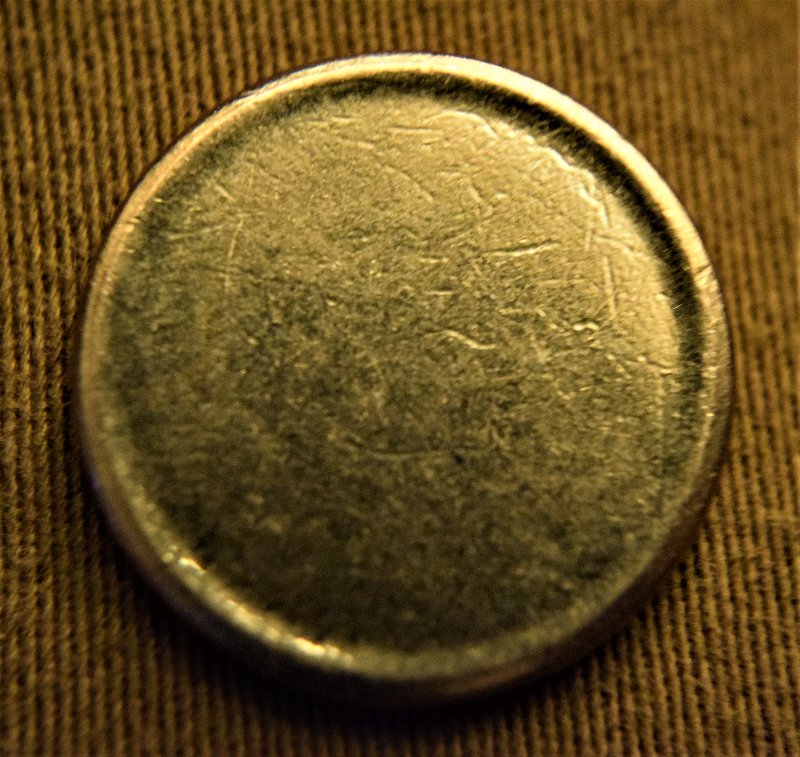 Type-2-Blank-Gold-Sac-Dollar