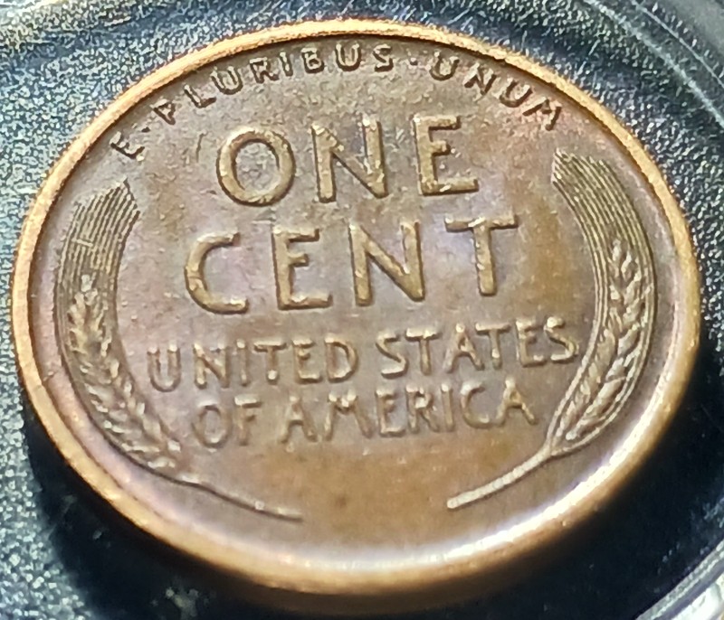 1909-P-Lincoln-Wheat-Cent