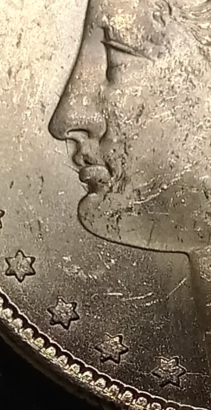 1882-CC-Bearded-Eagle?