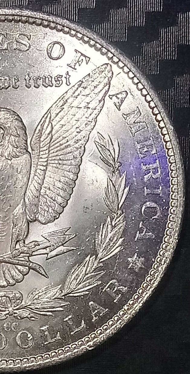 1882-CC-Bearded-Eagle?