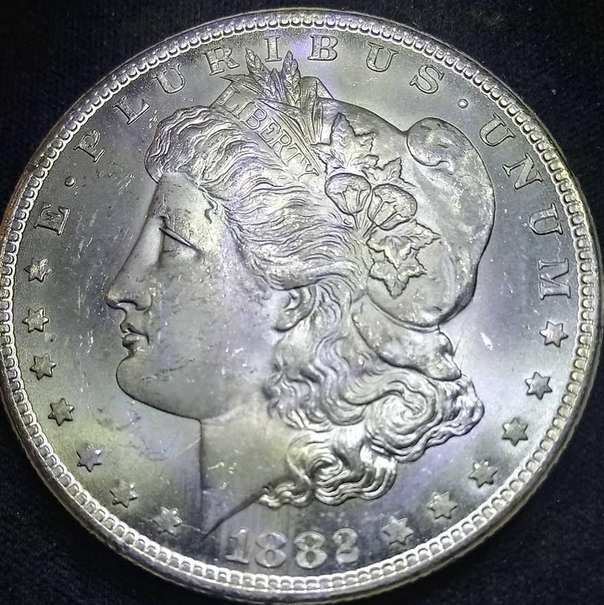 1882-CC-Bearded-Eagle?
