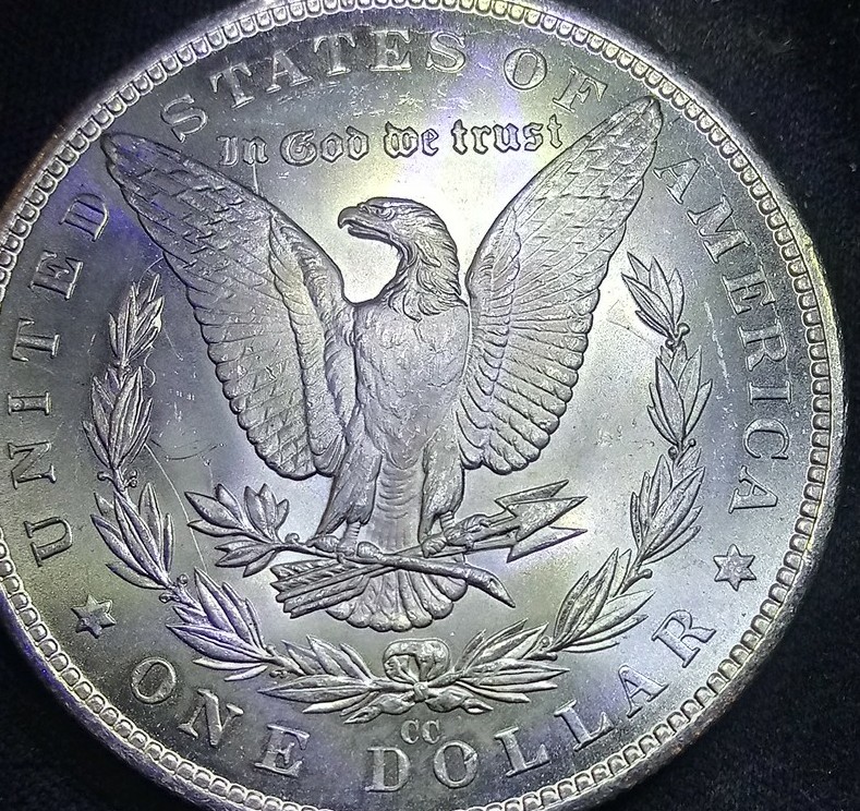1882-CC-Bearded-Eagle?