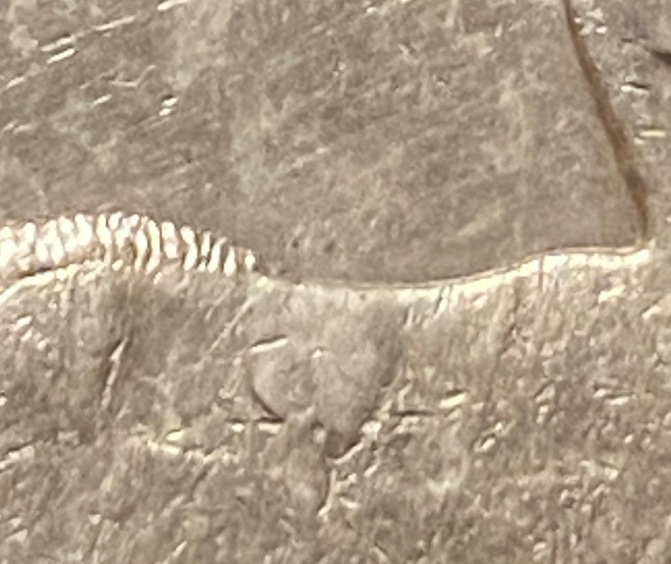 1948-South-Africa-5-Shillings-With-Die-