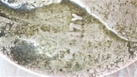 1926-Lincoln-Cent-I-Need-Your-Knowledge-On-Please!