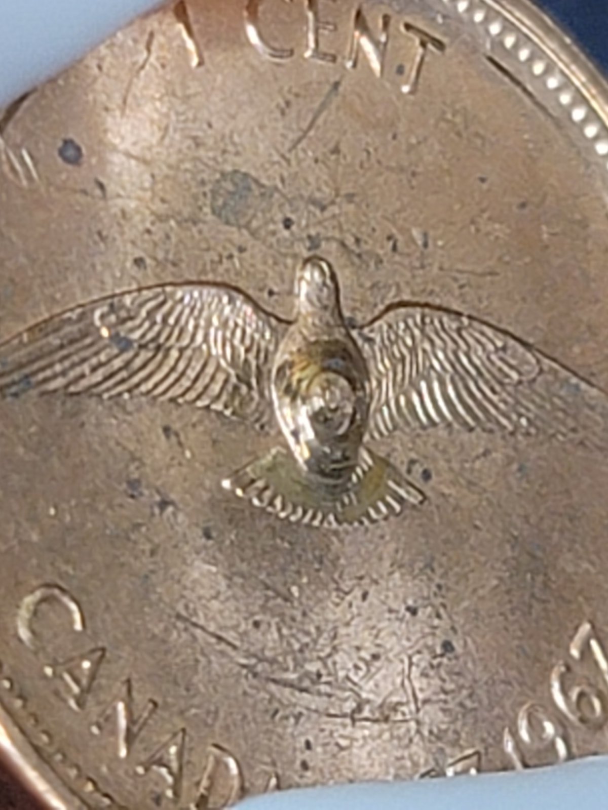 Error-Coins-Canadian-Pennies