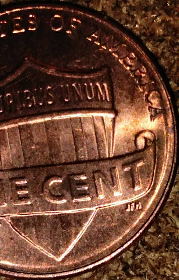 2017-Penny-Just-Take-A-Look-Let-Me-Know-What-You-Think