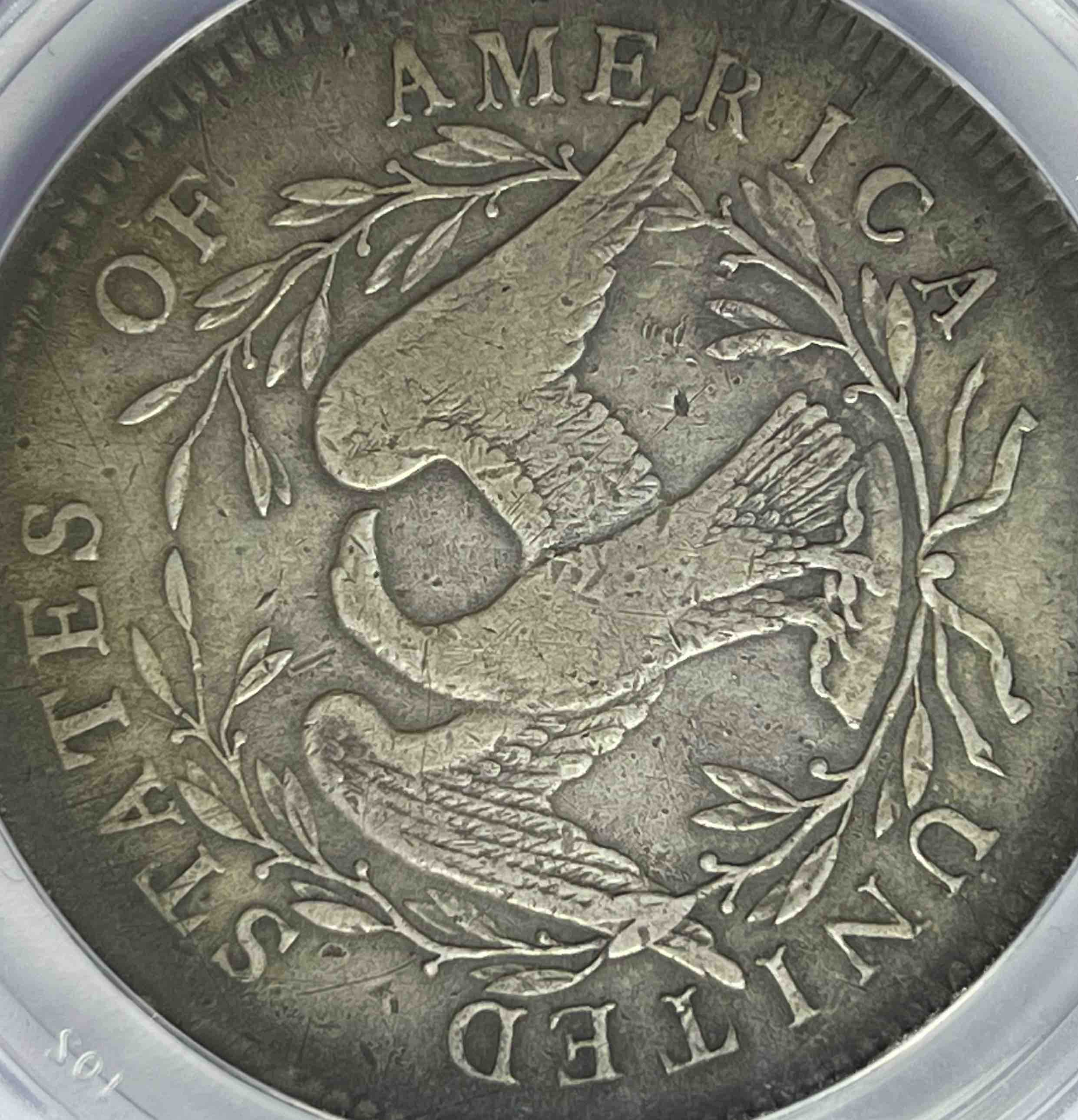 Mint-Plug-On-1795-Flowing-Hair-Dollar
