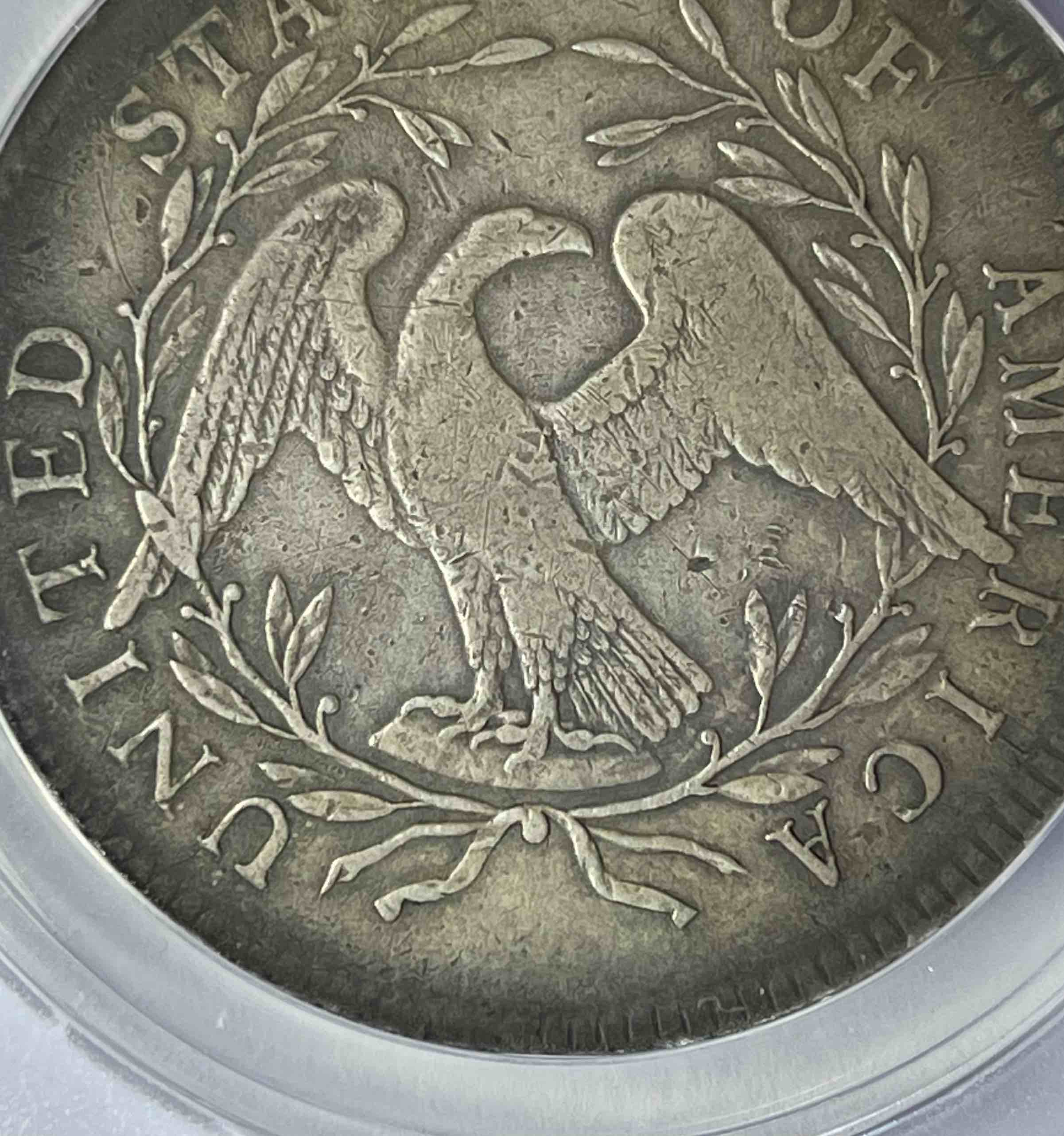 Mint-Plug-On-1795-Flowing-Hair-Dollar