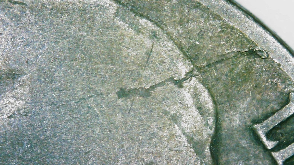 1945-P-War-Nickel-PMD?