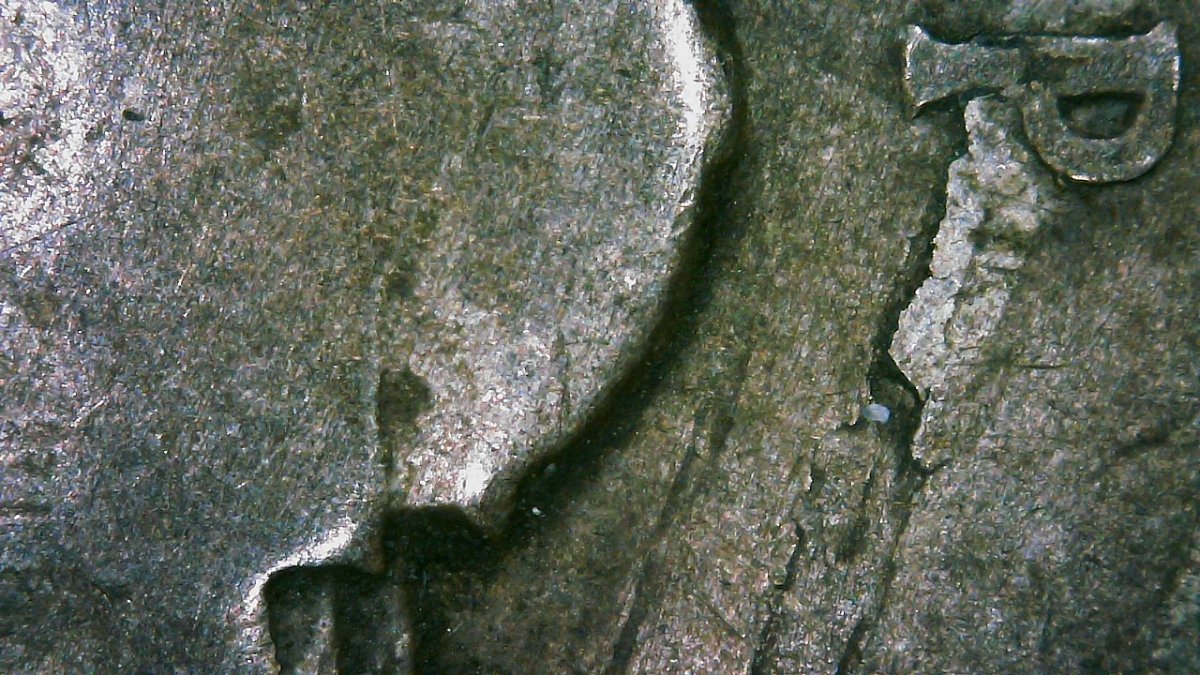 1945-P-War-Nickel-PMD?