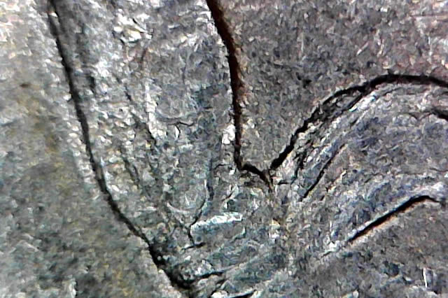 1994-P-With-Multiple-MD-And-Vlsds-On-Obverse,-Very-Little-MD-On-Reverse